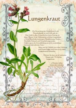 Download Artikelset 1 - 10  Bilder A4 deutsche Beschriftung als Download